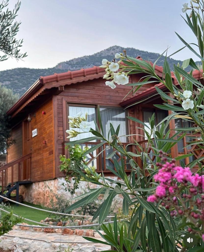 Doganin Ruhu Hotel & Bungalow Каш Экстерьер фото