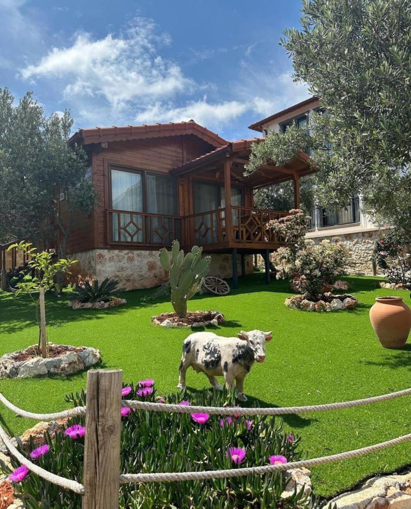 Doganin Ruhu Hotel & Bungalow Каш Экстерьер фото