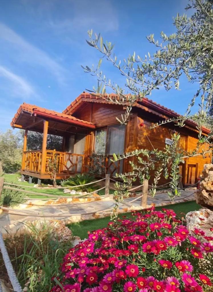 Doganin Ruhu Hotel & Bungalow Каш Экстерьер фото