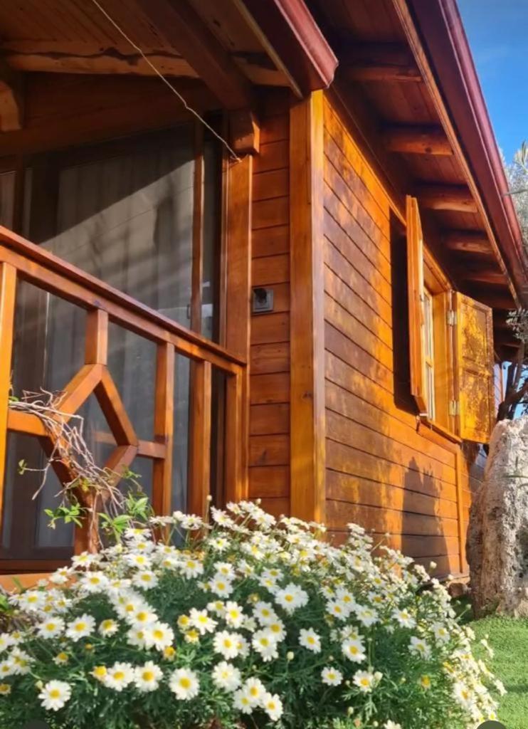 Doganin Ruhu Hotel & Bungalow Каш Экстерьер фото